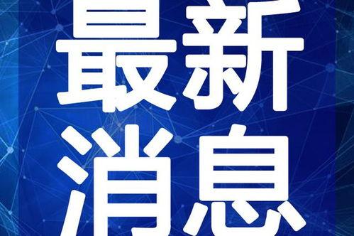 文安何小姐最新爆料视频,揭秘爆料视频背后的惊人真相